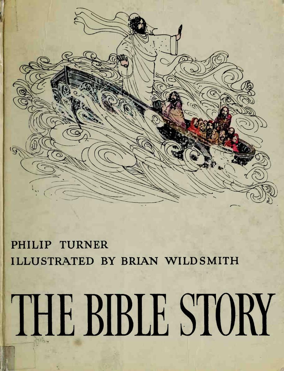 Brian Wildsmith's illustrated Bible stories by Turner Philip