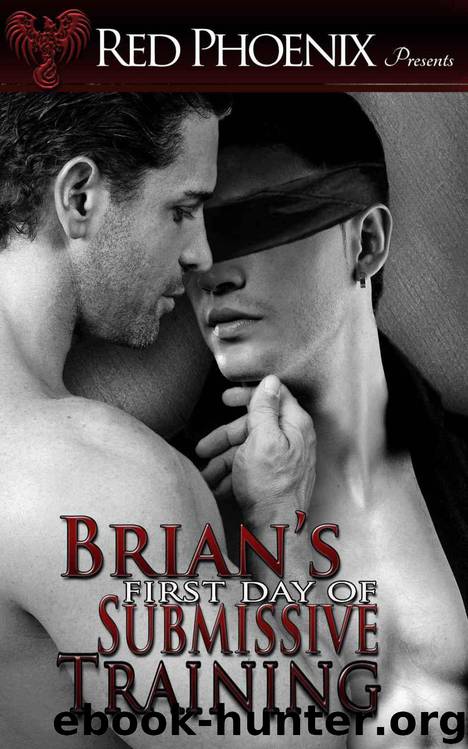 Brian's First Day of Submissive Training by Red Phoenix
