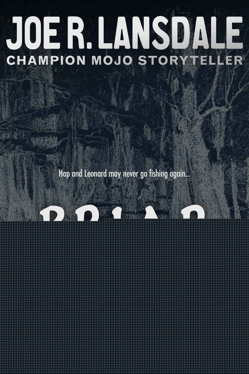 Briar Patch Boogie: A Hap and Leonard Novelette by Joe R. Lansdale