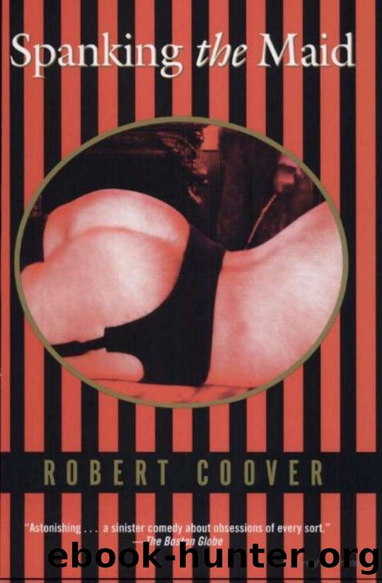 Briar Rose & Spanking the Maid by Robert Coover
