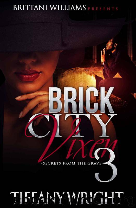 Brick City Vixen 3 by Tiffany Wright