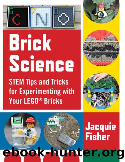 Brick Science by Jacquie Fisher