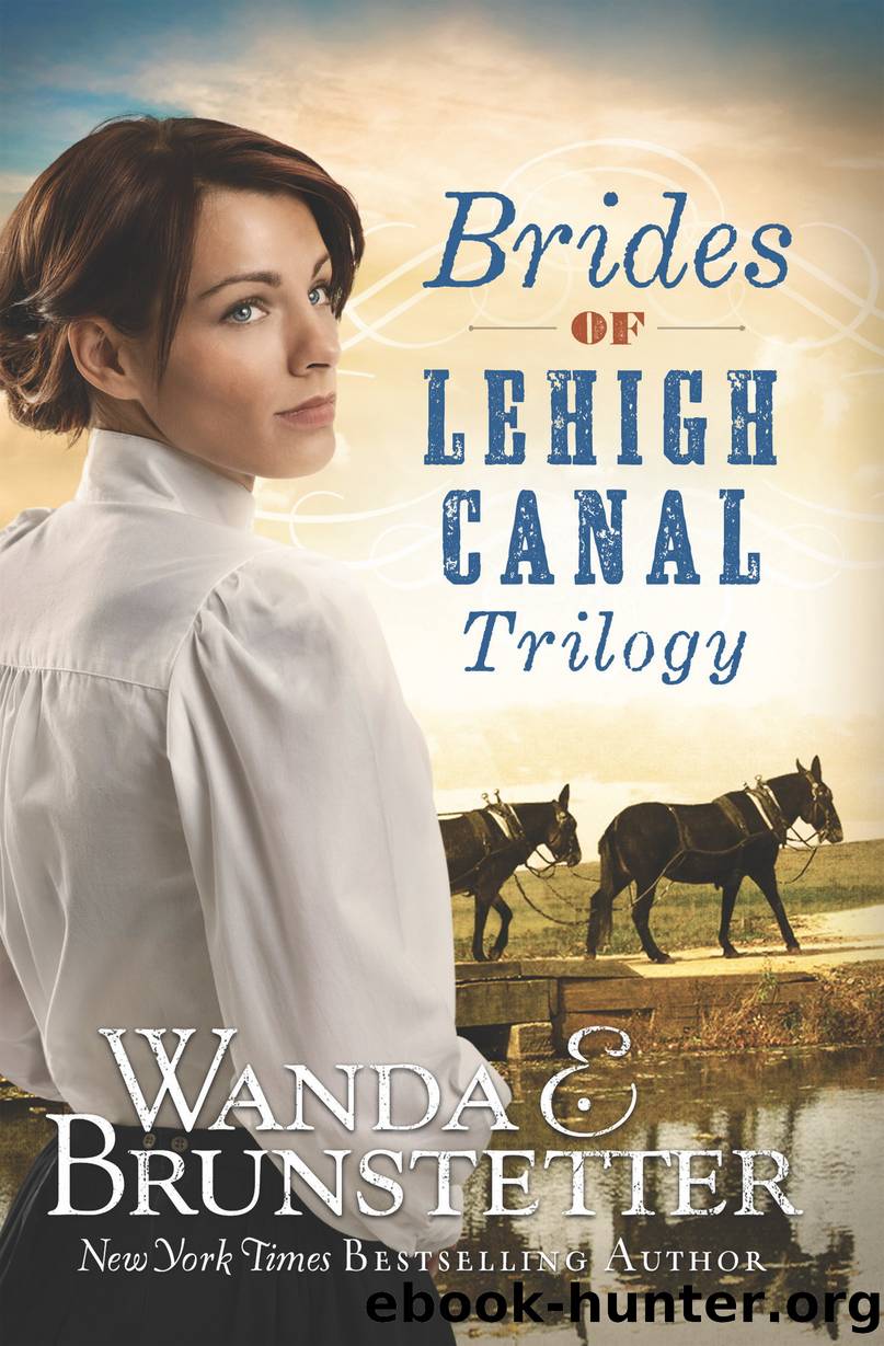 Brides of Lehigh Canal Trilogy by Wanda E. Brunstetter