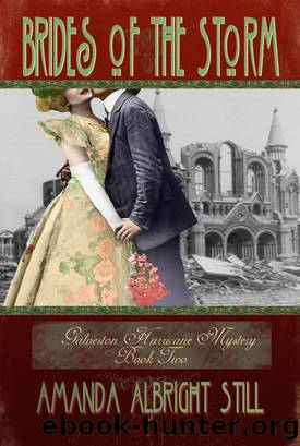 Brides of the Storm by Amanda Albright Still