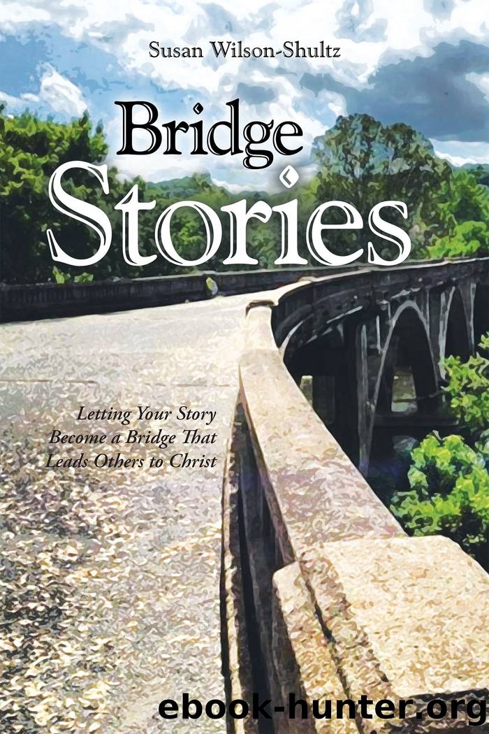 Bridge Stories by susan wilson-shultz