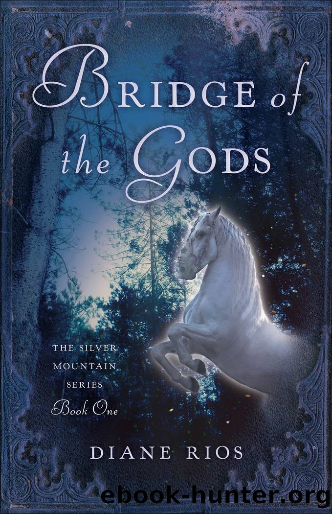 Bridge of the Gods by Diane Rios
