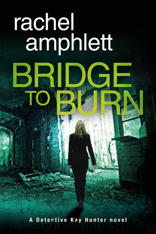 Bridge to Burn by Rachel Amphlett