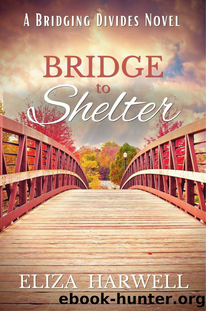 Bridge to Shelter by Eliza Harwell