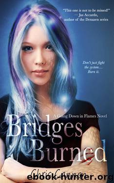 Bridges Burned by Chris Cannon