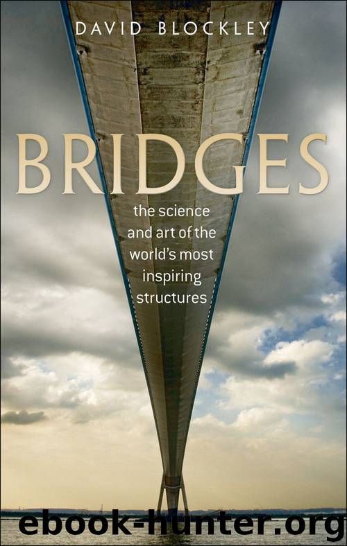 Bridges by David Blockley