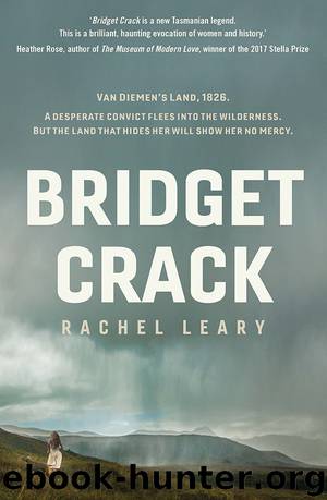 Bridget Crack by Rachel Leary