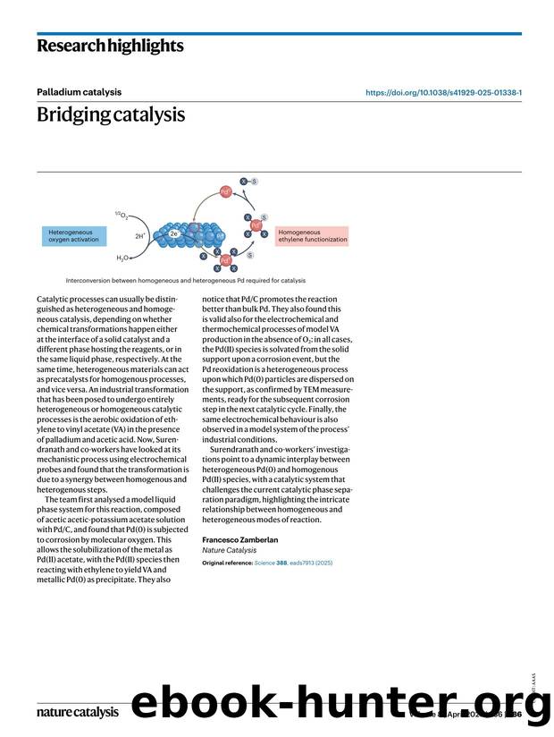Bridging catalysis by Francesco Zamberlan