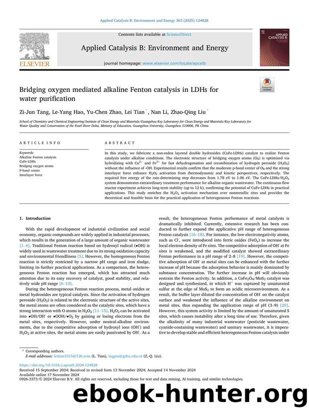 Bridging oxygen mediated alkaline Fenton catalysis in LDHs for water purification by Zi-Jun Tang & Le-Yang Hao & Yu-Chen Zhao & Lei Tian & Nan Li & Zhao-Qing Liu