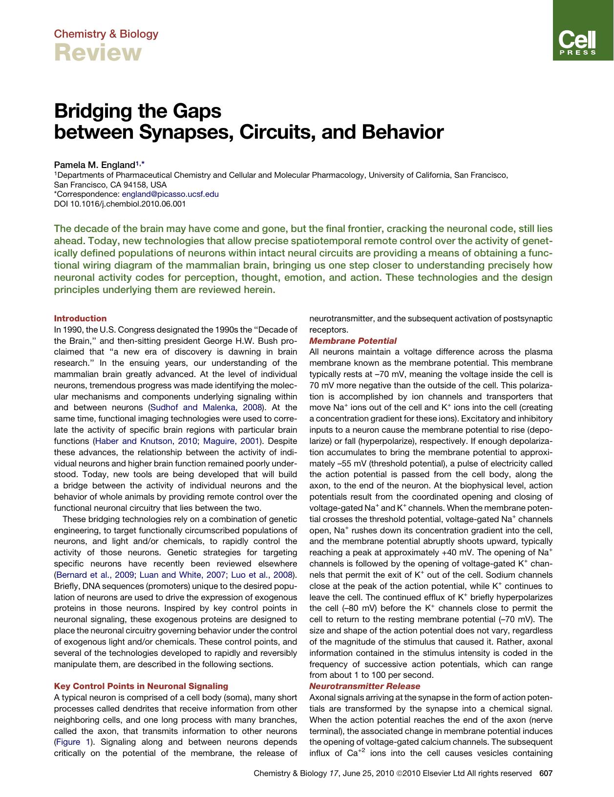 Bridging the Gaps between Synapses, Circuits, and Behavior by Pamela M. England