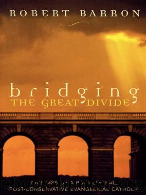 Bridging the Great Divide by Robert Barron