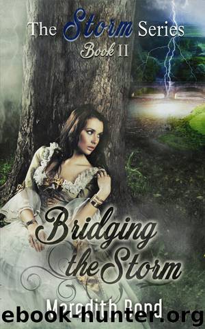 Bridging the Storm by Meredith Bond