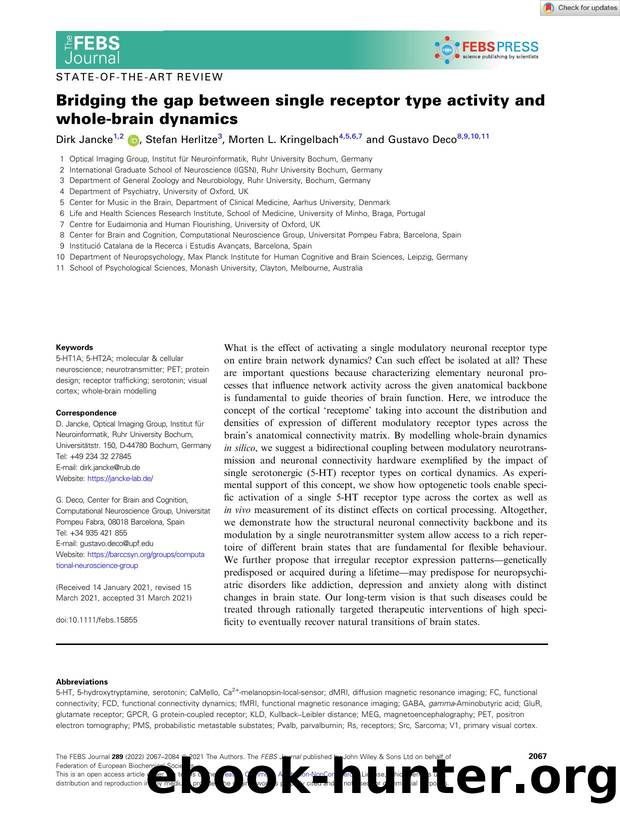 Bridging the gap between single receptor type activity and wholeâbrain dynamics by Unknown