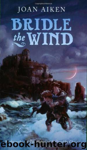 Bridle the Wind by Aiken Joan