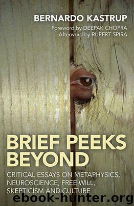 Brief Peeks Beyond by Bernardo Kastrup