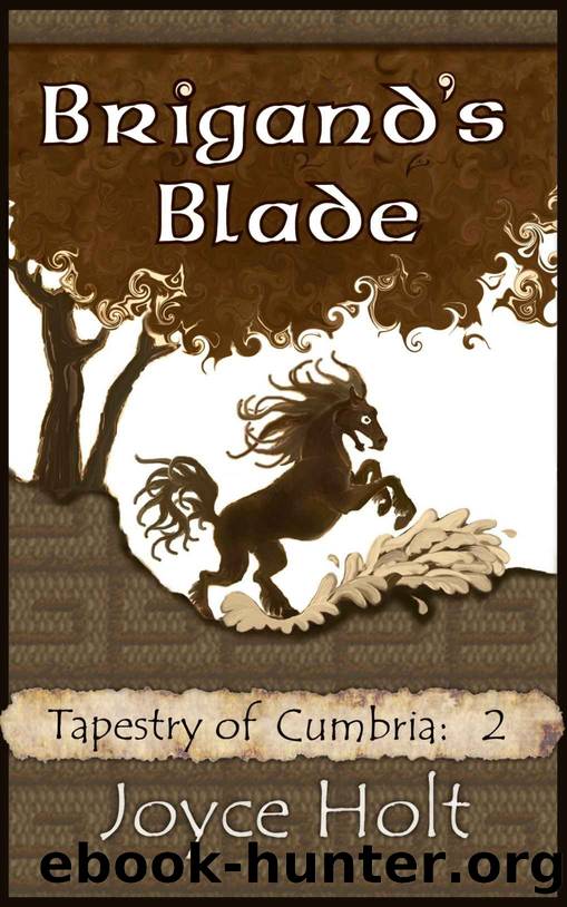 Brigand's Blade by Joyce Holt