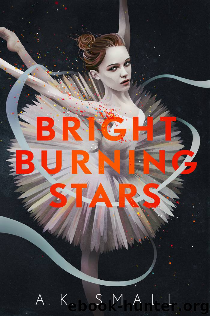 Bright Burning Stars by A. K. Small