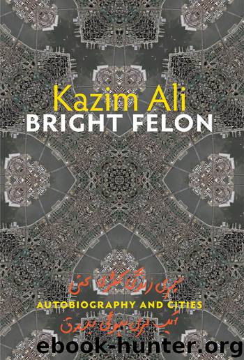 Bright Felon by Ali Kazim;