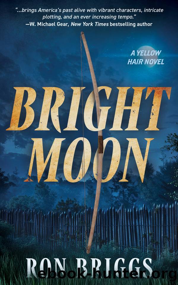 Bright Moon: A Norse Warrior Exploration Series (Yellow Hair Book 8) by Briggs Ron