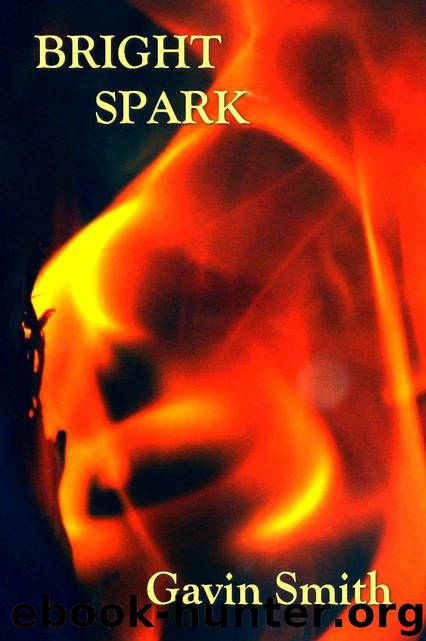 Bright Spark by Gavin Smith