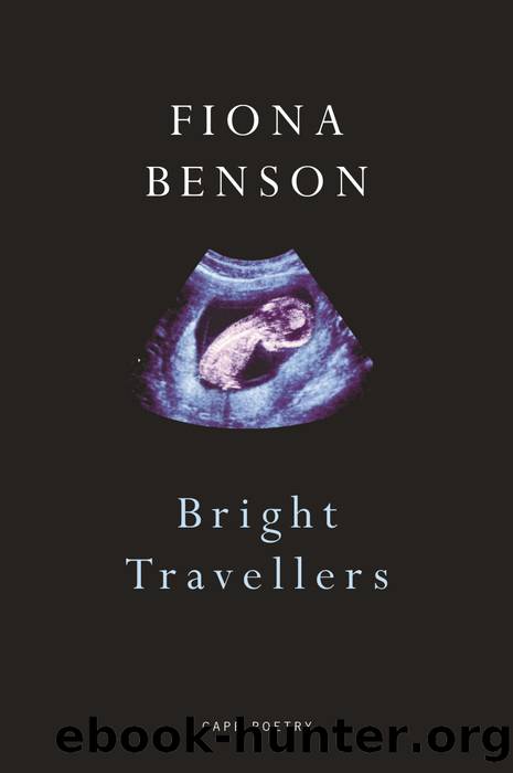 Bright Travellers by Fiona Benson