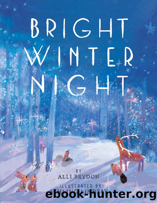 Bright Winter Night by Alli Brydon