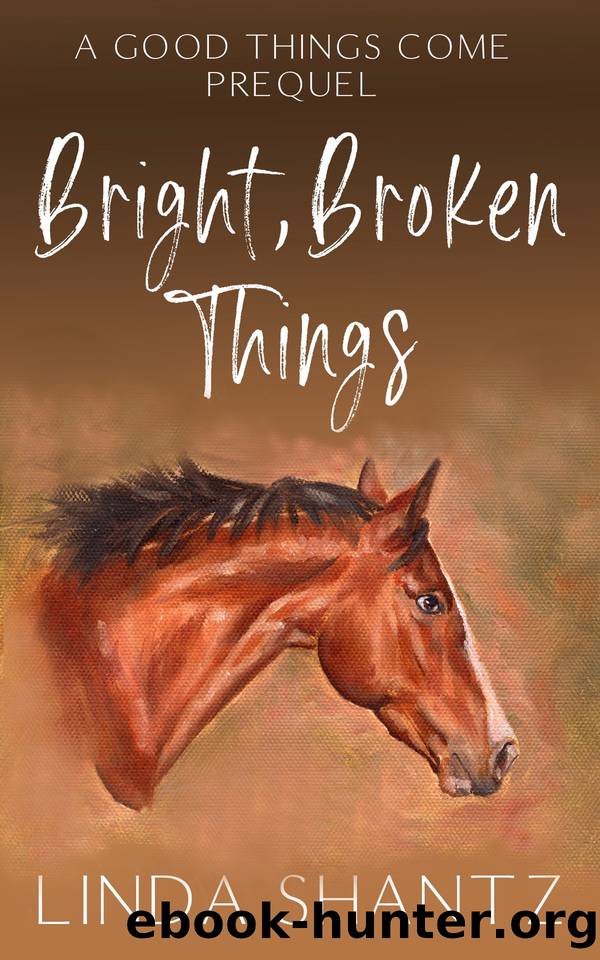 Bright, Broken Things by Linda Shantz