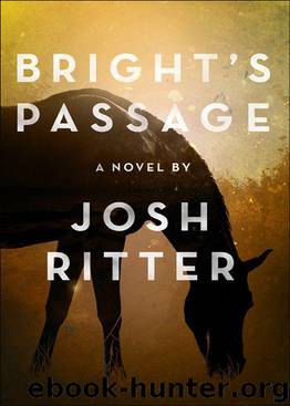Bright’s Passage by Josh Ritter