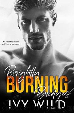 Brightly Burning Bridges: A Bully Romance (Kings of Capital) by Ivy Wild