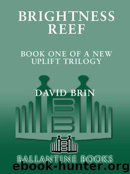 Brightness Reef by David Brin