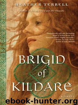 Brigid of Kildare: A Novel by Heather Terrell