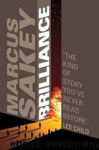 Brilliance by Marcus Sakey