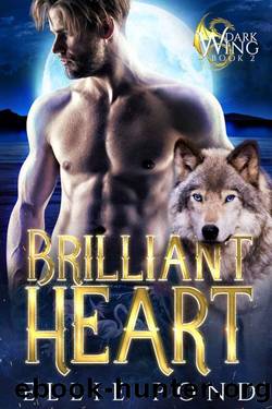 Brilliant Heart (Dark Wing Series Book 2) by Ellie Pond