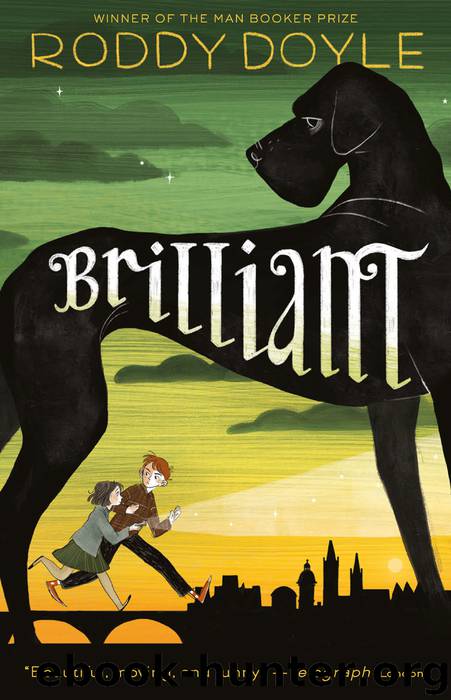 Brilliant by Roddy Doyle