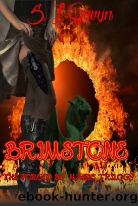 Brimstone: Book One of the Forged by Magic Trilogy by S. L. Gavyn