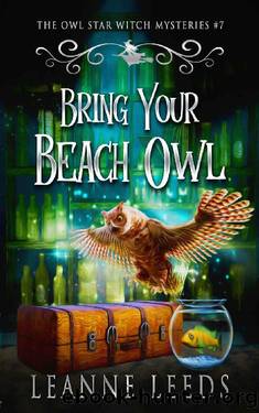 Bring Your Beach Owl by Leanne Leeds