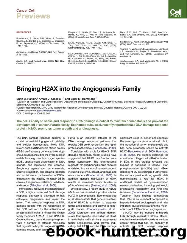 Bringing H2AX into the Angiogenesis Family by Erinn B. Rankin; Amato J. Giaccia; Ester M. Hammond