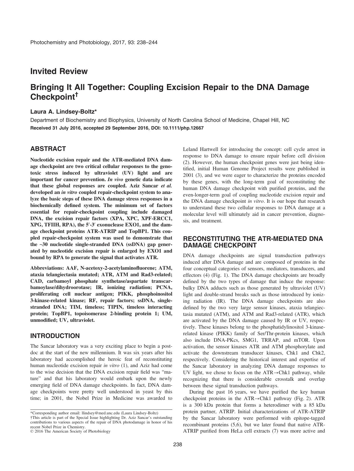 Bringing It All Together: Coupling Excision Repair to the DNA Damage Checkpoint by Unknown