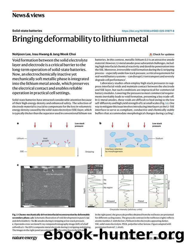 Bringing deformability to lithium metal by Nohjoon Lee & Insu Hwang & Jang Wook Choi