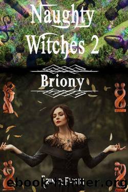 Briony (Naughty Witches Book 2) by Erin R Flynn