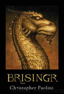 Brisingr (Inheritance 3) by Christopher Paolini