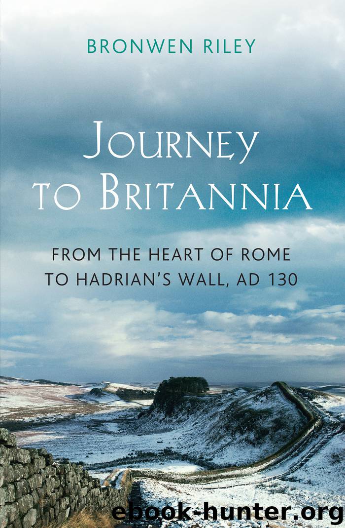 Britannia by Bronwen Riley