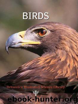 Britannica Illustrated Science Library: Birds by Encyclopedia Britannica