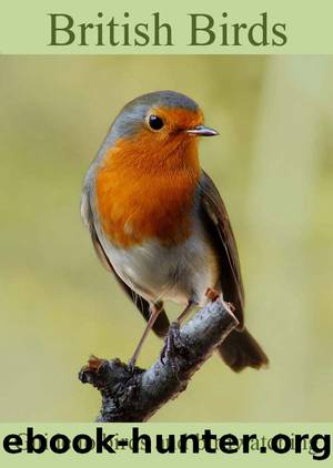 British Birds by Colin Salter