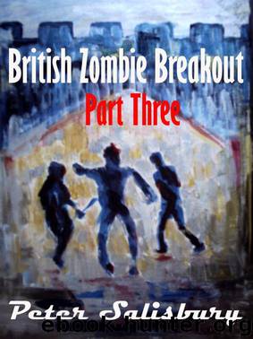 British Zombie Breakout (Book 3) by Salisbury Peter