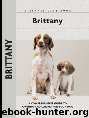 Brittany by Richard G. Beauchamp